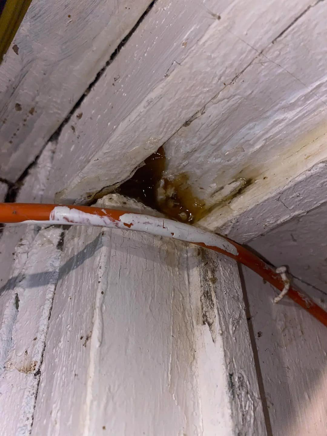 What is this sweet smelling brown stuff coming out of my basement wall? AweStories